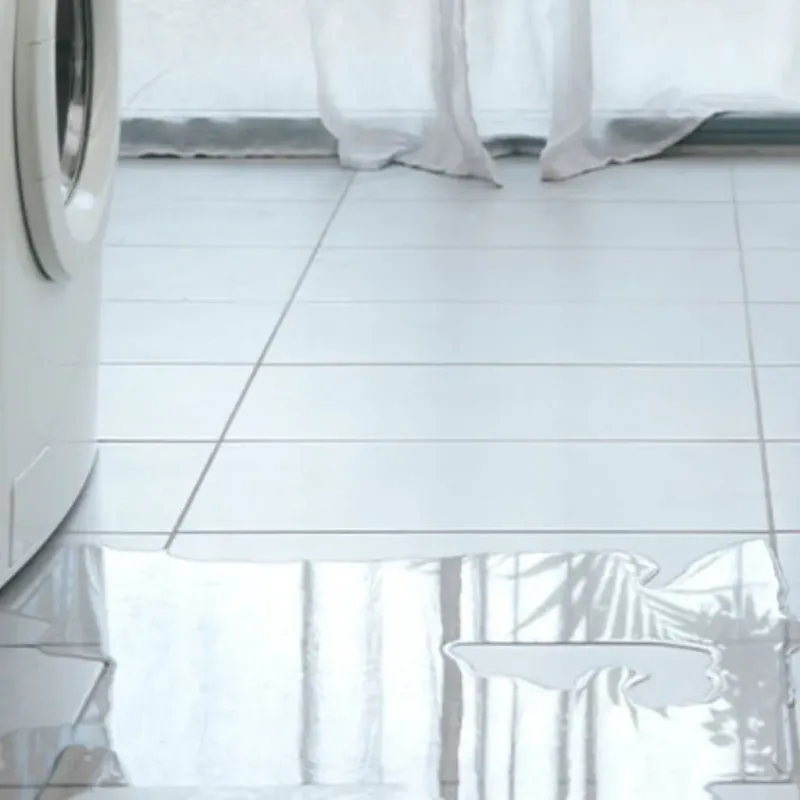 Appliance Leak Cleanup in Gleason, TN