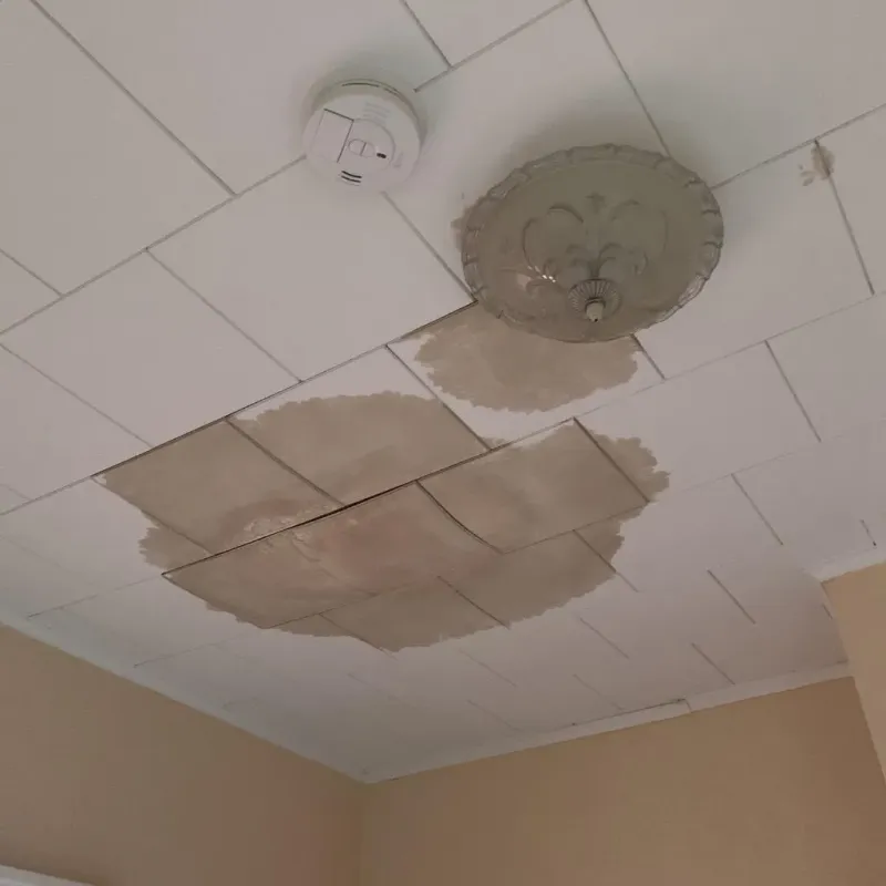 Ceiling Water Damage Repair in Gleason, TN