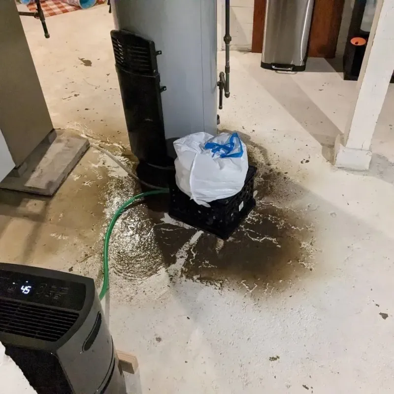 Sewage Backup Cleanup Service in Gleason, TN